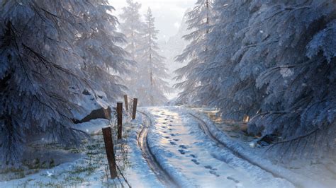 Wallpaper Trees Landscape Forest Sky Snow Road Ice Frost