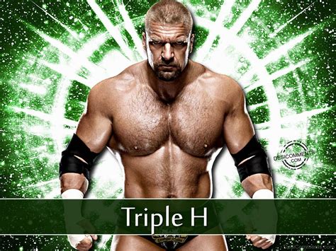 Wwe Champion Triple H