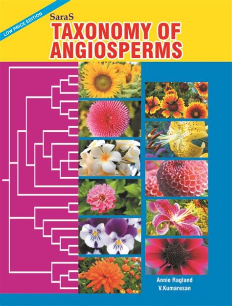 Taxonomy Of Angiosperms Saras Publication Books For Neet School