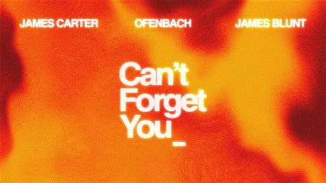 James Carter And Ofenbach Feat James Blunt Cant Forget You Lyric