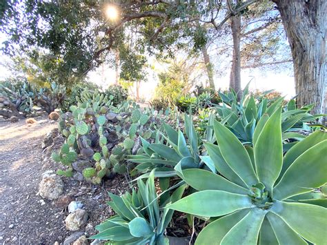 Open Space For Everyone In The Conejo Valley The Coast News Group