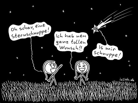 Lebensweisheiten sprüche nachdenkliche sprüche sprüche zum geburtstag geburtstag bilder schöne worte weise worte weisheiten zitate vorfreude sprüche sprüche motivation wort der. Sternschnuppe | #islieb | Sternschnuppen, Witzige sprüche ...