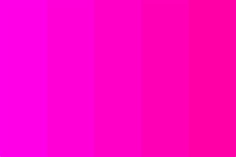 Pink Color Palette