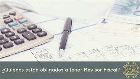 Conoce Qui Nes Deben Tener Revisor A Fiscal Millan Y Asociados