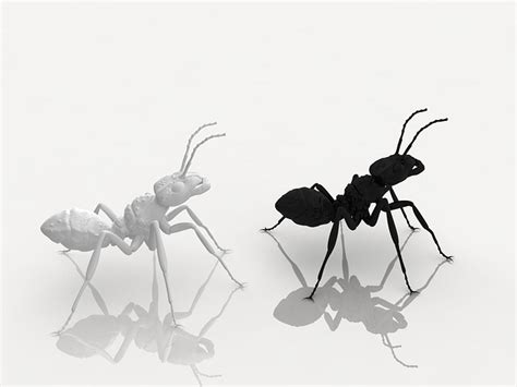 detailed ant 3d model 3d printable cgtrader