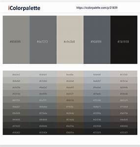 3 Latest Color Schemes With Natural Gray And Ash Color Tone