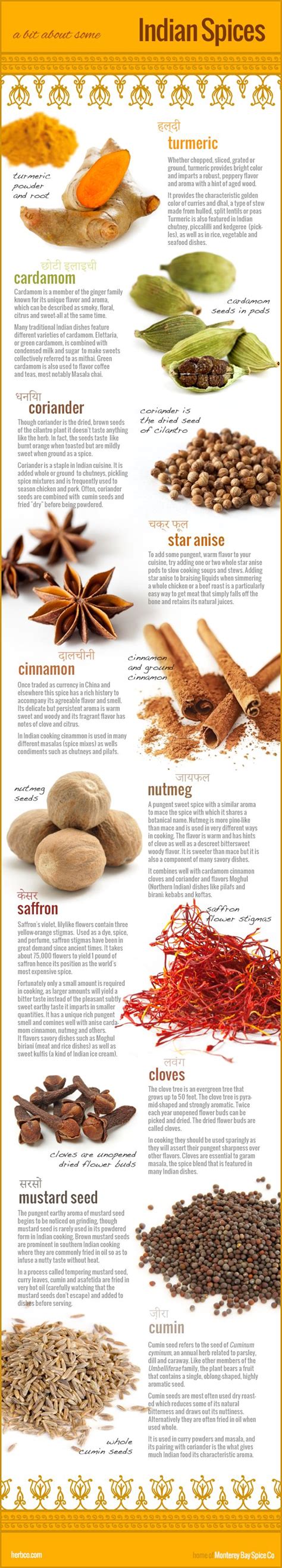 10 Most Common Spices