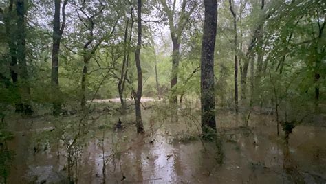 Storm update: Flooding remains a threat - Daily Leader | Daily Leader