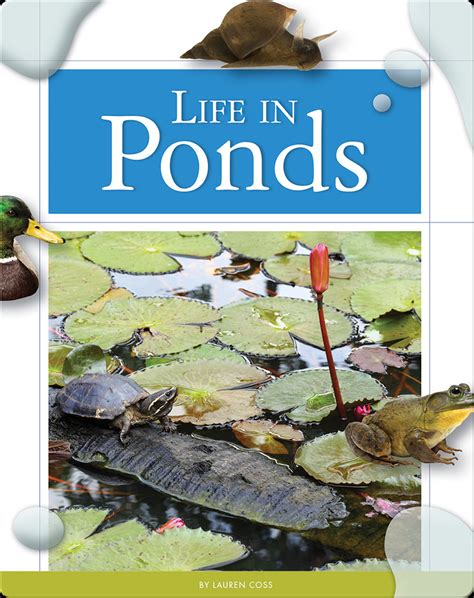 Life In Ponds Childrens Book By Lauren Coss Discover Childrens