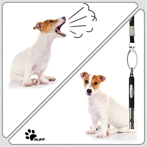 Having a hard time training your dog to sit or stay? RUFF Dog Whistle To Stop Barking & Train Dogs Fast + 5 ...