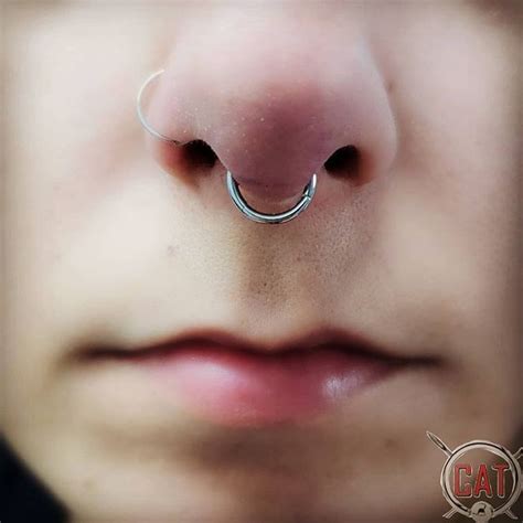 Profissional catbodypiercing Piercing septo com segmento em aço