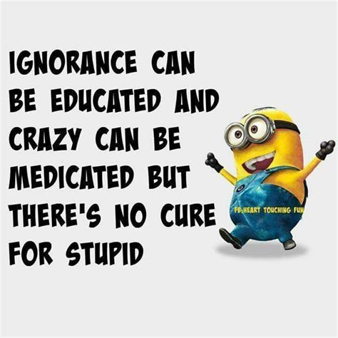 Stupid Funny Quotes Weird Quotes Funny Funny Minion Quotes