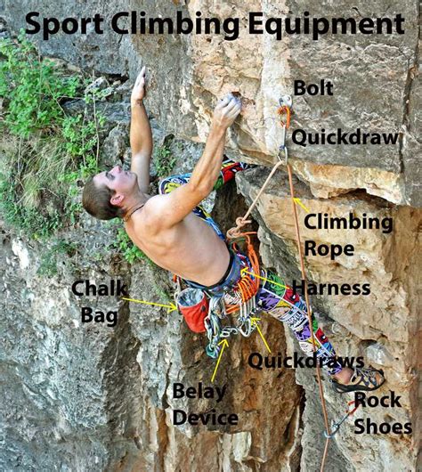 Essential Sport Climbing Gear And Equipment