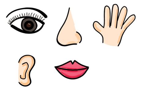 Eyes And Mouth Clipart Free Download On Clipartmag