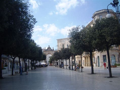 Find out information about francais. Martina Franca - Wikiwand