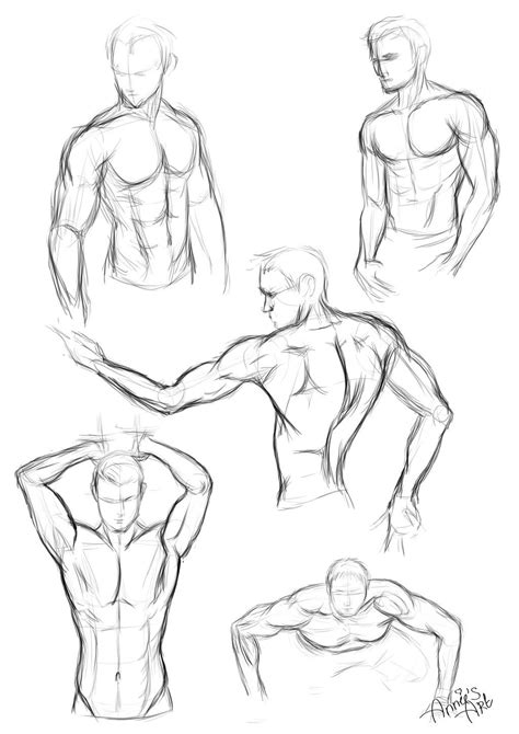 Torso Muscules Man Posing Male Body Drawing Human Figure Drawing Body