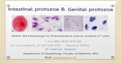 Intestinal Protozoa And Genital Protozoa ๐life Cycle ๐epidemiology ๐pathology Pathogenesis ๐
