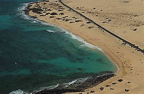 Playas Nudistas De Fuerteventura Federaci N Espa Ola De Naturismo
