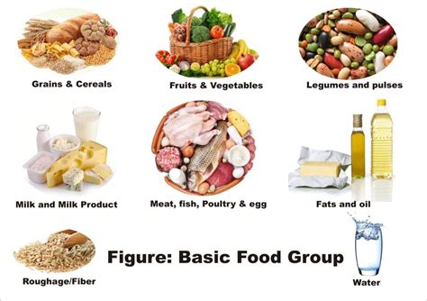 Organisms in food chains are grouped into categories called trophic levels. Food Groups | Mynutrishop
