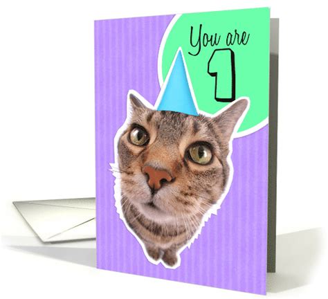 Happy First Birthday Kitty Cat Card 1522056