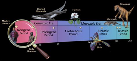 Geological Timescale Sam Noble Museum