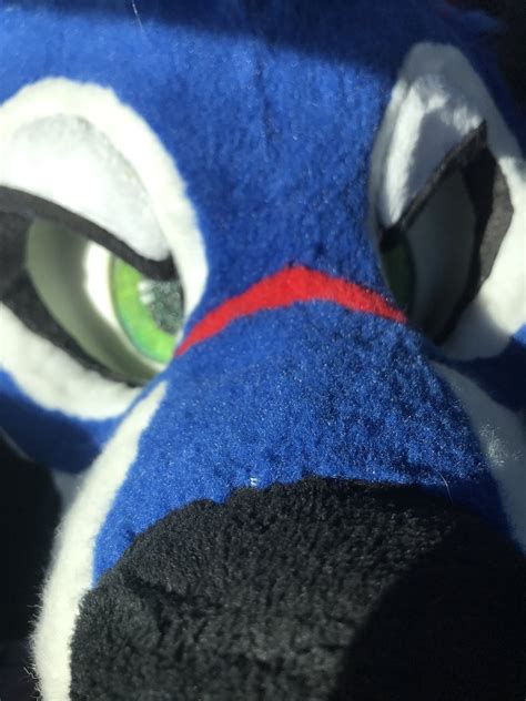 Fox Sonicfox Blfc On Twitter See Yall In A Bit 😈