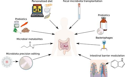 Harnessing The Microbiota For Therapeutic Purposes American Journal