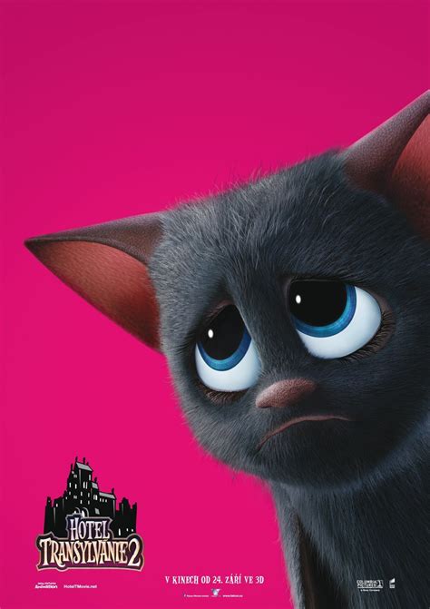Some time after the first film has passed, and its mavis dracula (selena gomez) and jonathan loughran's. Hotel Transylvania 2 DVD Release Date | Redbox, Netflix ...