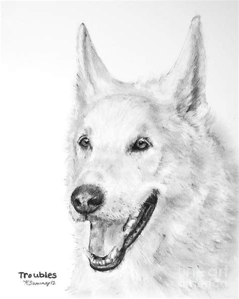 Wolf head in zentangle style. White Wolf Dog Hybrid Drawing by Kate Sumners