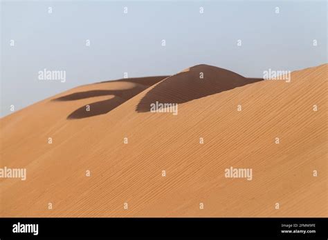 Sand Dunes Of Sharqiya Wahiba Sands Oman Stock Photo Alamy