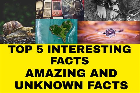 Top Interesting Facts Amazing And Unknown Facts