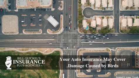 Does car insurance cover vandalism? Your Auto Insurance May Cover Damage Caused by Birds - Bill Quickel's - Insurance Plus Agencies ...