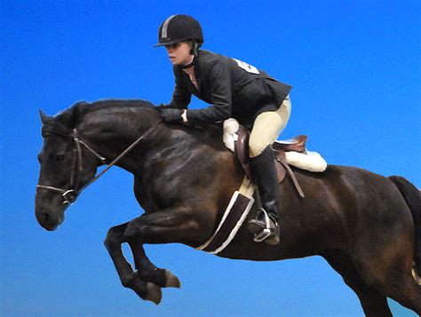 Compare prices on popular products in wall decor. HD Animals Wallpapers: Beautiful Black Horse Pictures