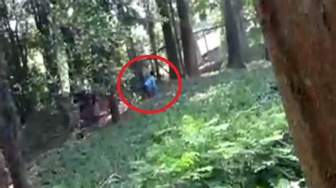 Man Jumps Into Lion Enclosure At Kerala Zoo Says Wanted To ‘have A