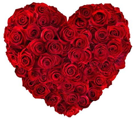 Buy Heart Shaped Roses Arrangement Online At Best Price Od