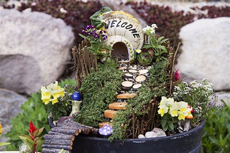 Believe In Magic Fairy Garden Inspiration Espoma
