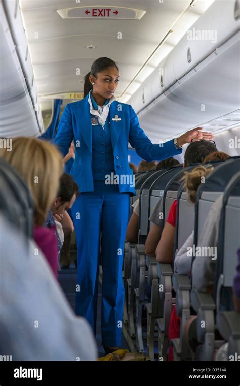 Klm Stewardess Im Flug Stockfotografie Alamy