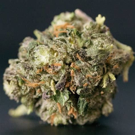 Candy Apple Strain Candy Apple Seeds From
