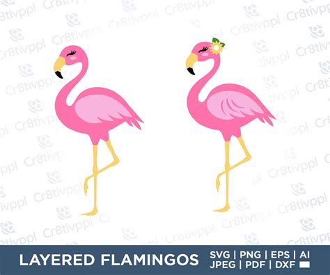 Flamingo Svg Flamingo Floral Flamingo Svg Cut File Flamingo Etsy