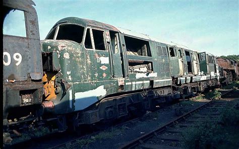 Class 41 Warship Diesel Hydraulic D601 Ark Royal At Dai Woodhams