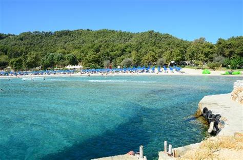 The Beach At Makryammos Picture Of Makryammos Bungalows Thasos
