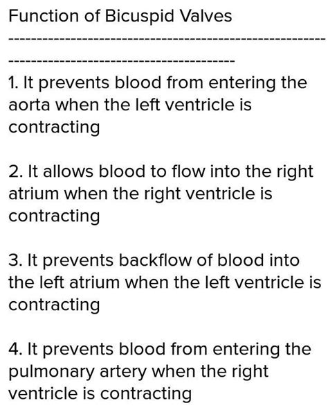 What Is The Function Of Bicuspid Valve Why Is Ventricle