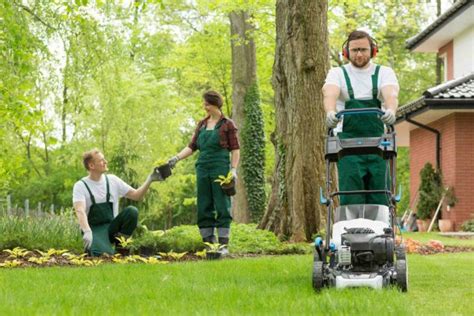 5 Reasons To Hire A Professional Lawn Care Service 2024 Guide Urban