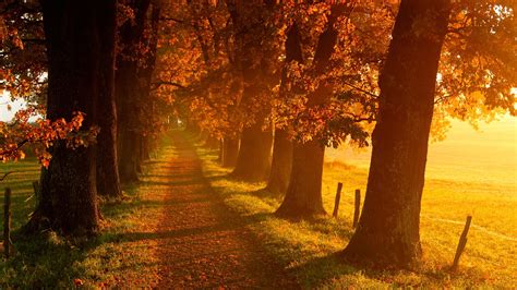 Fantastic Autumn Landscape Wallpaper 2560x1440 29995