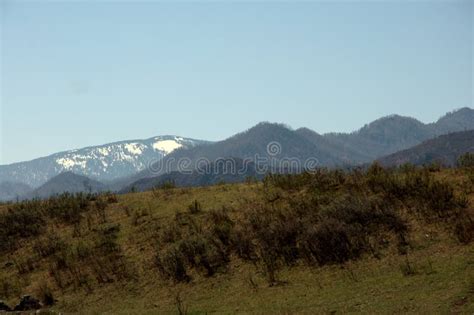 High Mountain Ranges Overgrown With Coniferous Forest Under The Blue