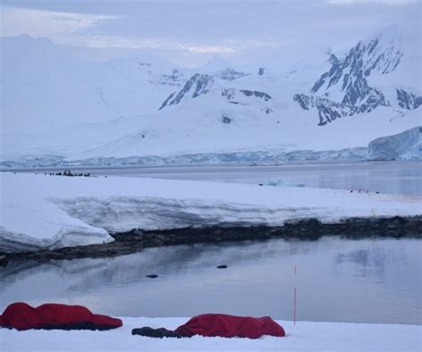 Camping In Antarctica Could This Be The Ultimate Antarctic Adventure