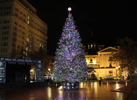 The magic of the internet. Christmas Tree, Pioneer Place, Downtown Portland, Multnoma ...