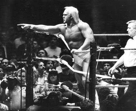 Hulk Hogan The Career Of An All American Legend Daily Star