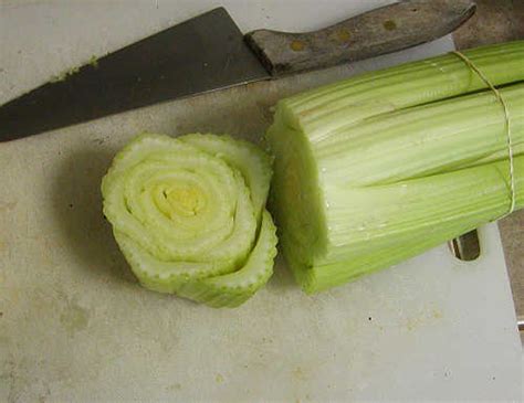 Providence Acres Regrowing Celery