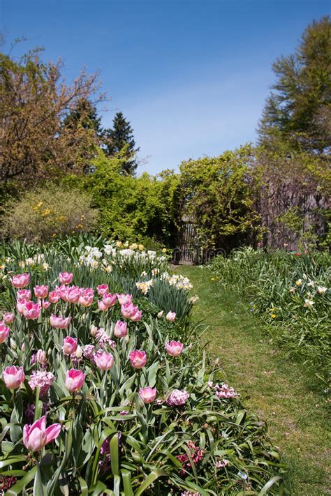 Spring Garden Stock Image Image Of Bloom Beautiful 17848017